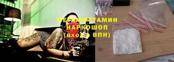 PSILOCYBIN Тайга