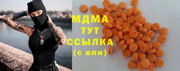 PSILOCYBIN Тайга