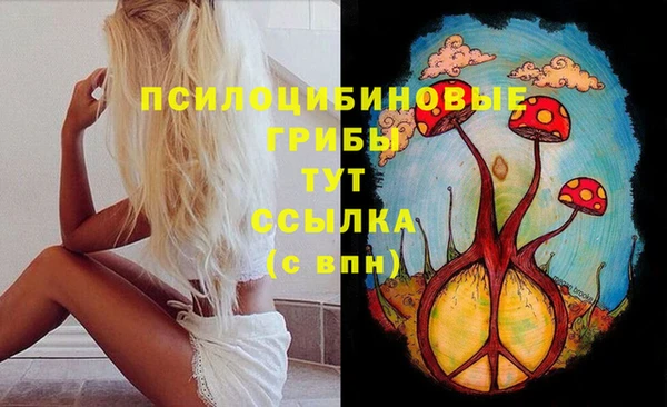 дмт Пролетарск